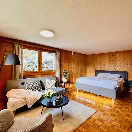 公寓 Cosy 10 Min From Gstaad With Stunning View 施康里埃德
