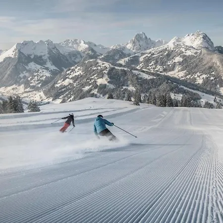 Cosy 10 Min From Gstaad With Stunning View * 施康里埃德